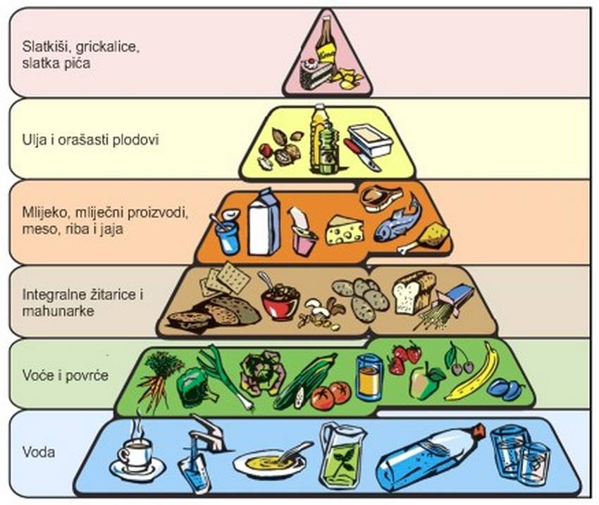 piramida prehrane